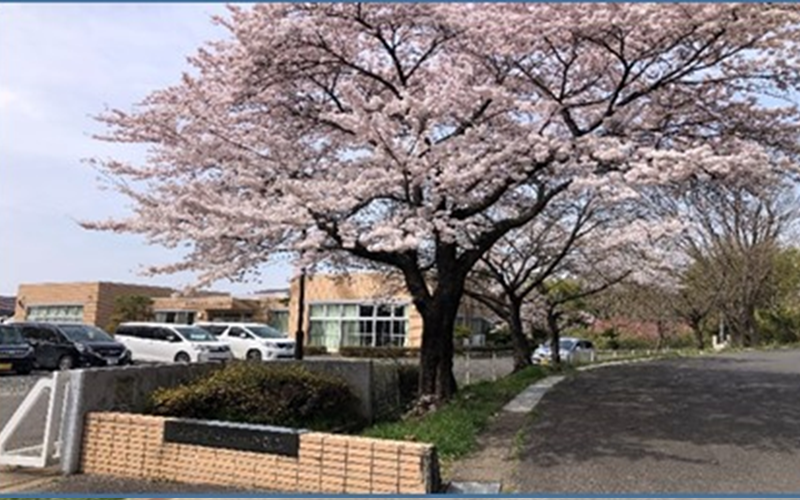 郡山市緑豊園